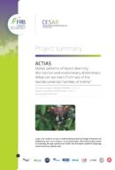 ACTIAS | Global patterns of insect diversity, distribution and evolutionary distinctness