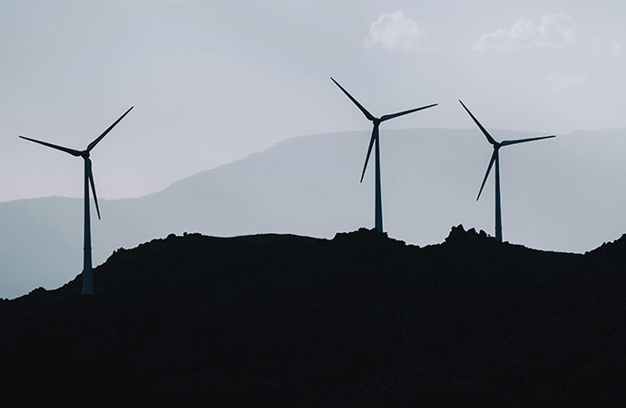 Efficacité des solutions et recommandations pour limiter l’impact de la production d’énergie éolienne terrestre sur la biodiversité volante