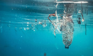 Le risque microbiologique des plastiques en mer