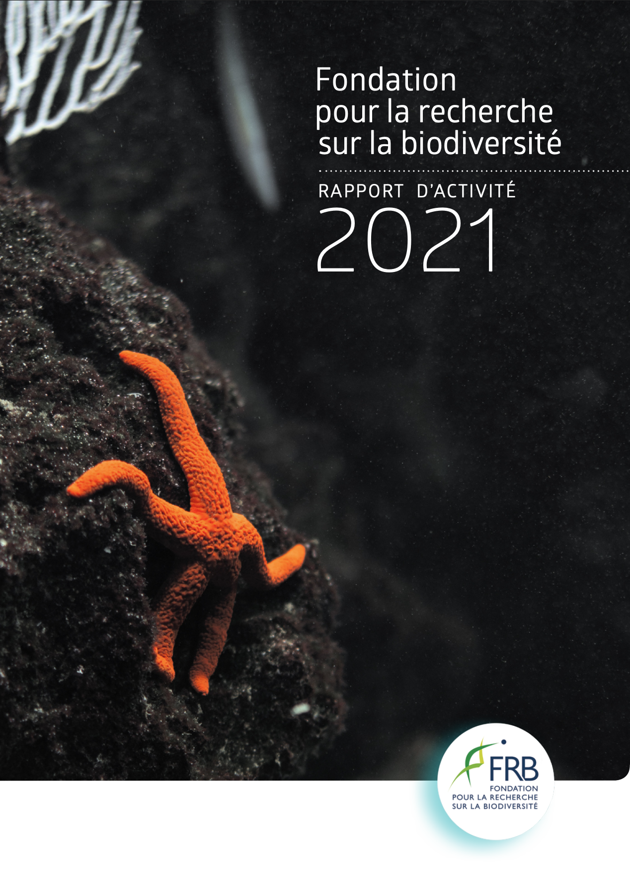 Rapport d’activité 2021