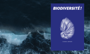 Biodiversité ! L’Océan, demain.