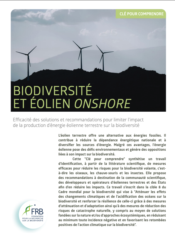 Efficacité des solutions et recommandations pour limiter l’impact de la production d’énergie éolienne terrestre sur la biodiversité. Clé pour comprendre