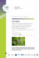 Lola BMS | Comment les processus à l’échelle locale impactent-ils la réponse des papillons aux changements globaux à une échelle plus globale ?