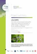 Lola BMS | Comment les processus à l’échelle locale impactent-ils la réponse des papillons aux changements globaux à une échelle plus globale ?