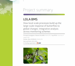 Lola BMS | Comment les processus à l’échelle locale impactent-ils la réponse des papillons aux changements globaux à une échelle plus globale ?