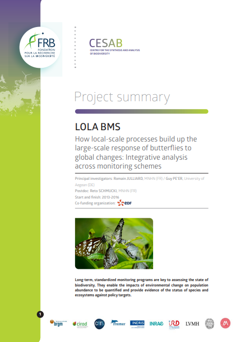 Lola BMS | Comment les processus à l’échelle locale impactent-ils la réponse des papillons aux changements globaux à une échelle plus globale ?