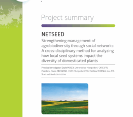 Netseed | Agrobiodiversité et réseaux sociaux : comment les systèmes d’échange de semences agissent sur la diversité des plantes domestiquées