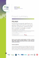 PELAGIC | Prioritizing ecologically significant and globally important marine conservation areas for vertebrates