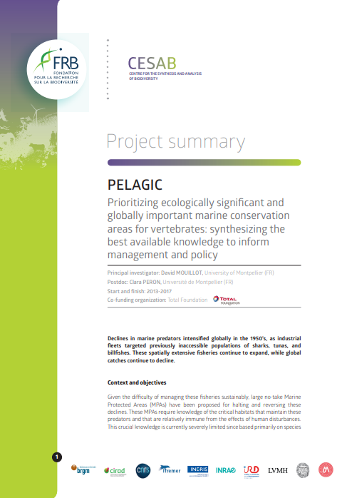 PELAGIC | Prioritizing ecologically significant and globally important marine conservation areas for vertebrates