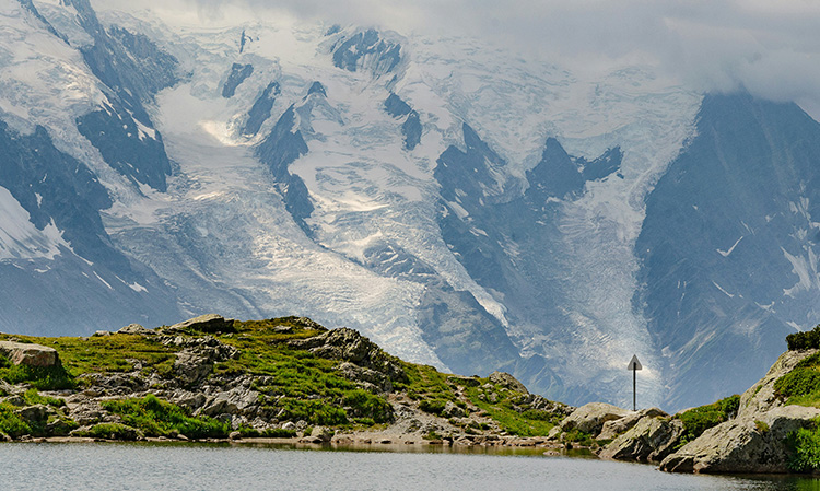 [Événement] Quelle est la place de la biodiversité dans les scénarios de neutralité carbone ?
