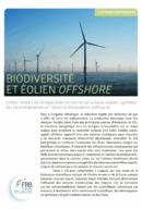Limiter l’impact de l’énergie éolienne marine sur la faune volante : synthèse des recommandations en l’absence d’évaluations d’efficacité. Clé pour comprendre