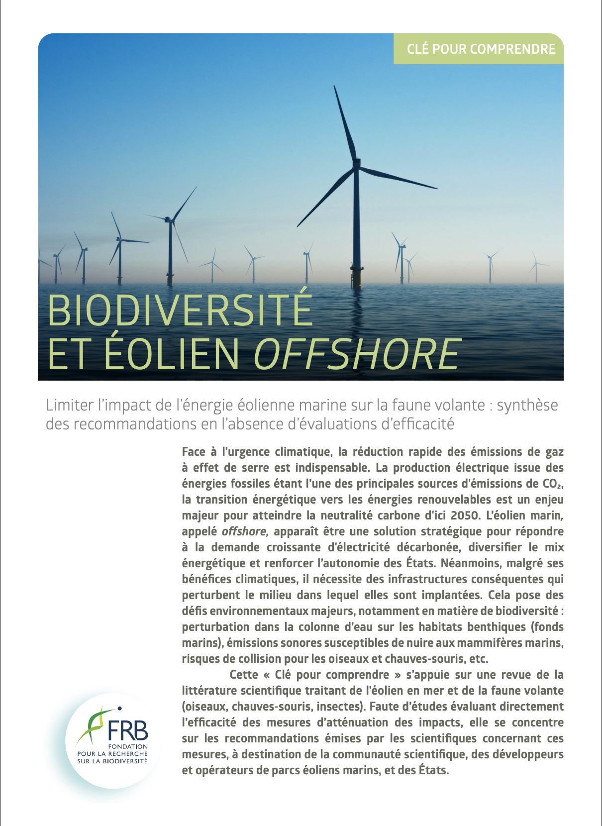Limiter l’impact de l’énergie éolienne marine sur la faune volante : synthèse des recommandations en l’absence d’évaluations d’efficacité. Clé pour comprendre