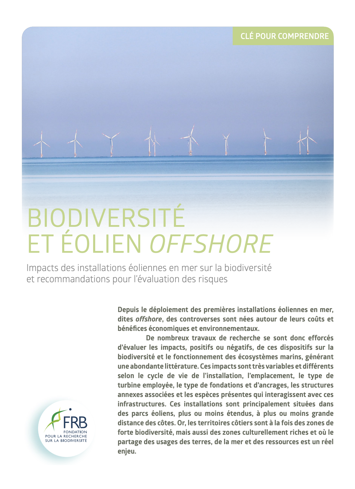 Impacts de l’éolien offshore sur la biodiversité et recommandations pour l’évaluation des risques. Clé pour comprendre