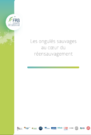 Les ongulés sauvages au cœur du réensauvagement