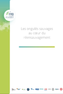 Les ongulés sauvages au cœur du réensauvagement