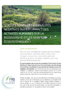 Quelles sont les externalités négatives dues à l’impact des activités humaines sur la biodiversité et les services écosystémiques ? – Clé pour comprendre