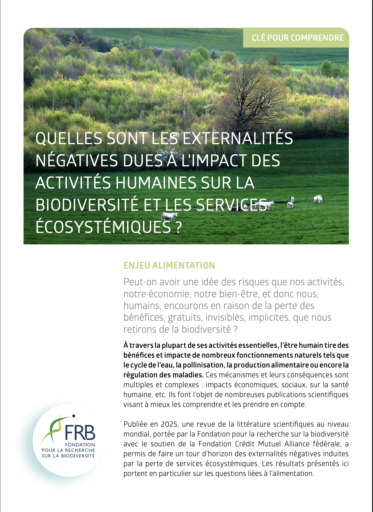 Quelles sont les externalités négatives dues à l’impact des activités humaines sur la biodiversité et les services écosystémiques ? – Clé pour comprendre