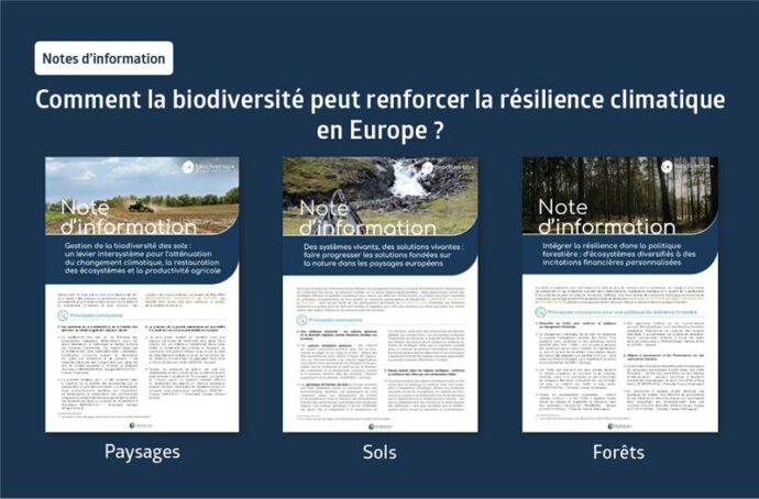 Des sols aux forêts : construire la résilience climatique et enrayer la perte de biodiversité en Europe grâce aux sciences
