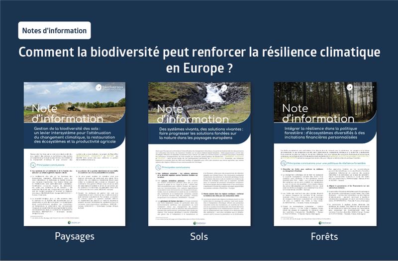 Des sols aux forêts : construire la résilience climatique et enrayer la perte de biodiversité en Europe grâce aux sciences