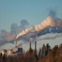 Les subventions néfastes : le coût caché de la destruction du vivant