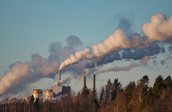 Les subventions néfastes : le coût caché de la destruction du vivant