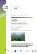 Rainbio | Dynamique de la forêt tropicale en Afrique : implications pour la conservation de la biodiversité tropicale