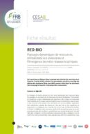 Red-Bio | Paysages de ressources dynamiques, rétroactions éco-évolutives et émergence de méta-réseaux trophiques