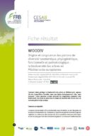 Woodiv | Origine et congruence des patrons de diversité taxonomique, phylogénétique, fonctionnelle et paléo-écologique : la biodiversité des arbres en Méditerranée européenne