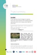 Divers | Stratégies reproductives et diversité des plantes à fleurs