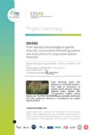 Divers | Stratégies reproductives et diversité des plantes à fleurs