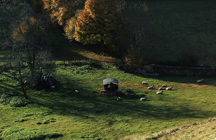 Les savoirs écologiques au service de la santé