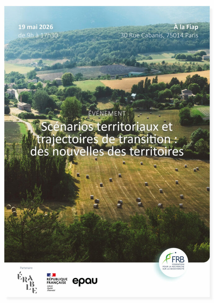 Programme Scénario #2｜Scénarios territoriaux et trajectoires de transitions : des nouvelles des territoires