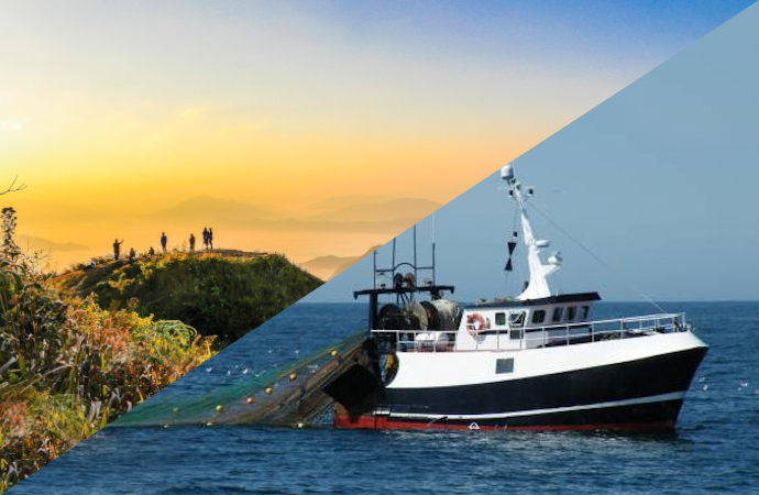 [FRB-CESAB 2026] Two calls for proposals now open