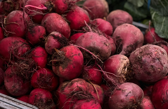 FRB_Champs_betterave