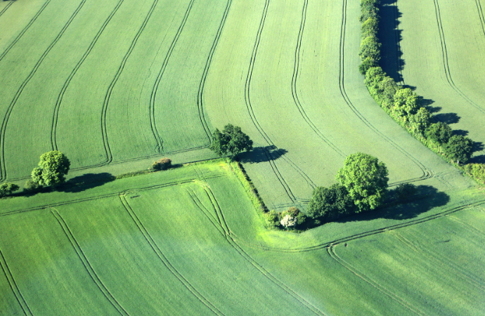Néonicotinoïdes : chronique d’une régulation à contre-courant