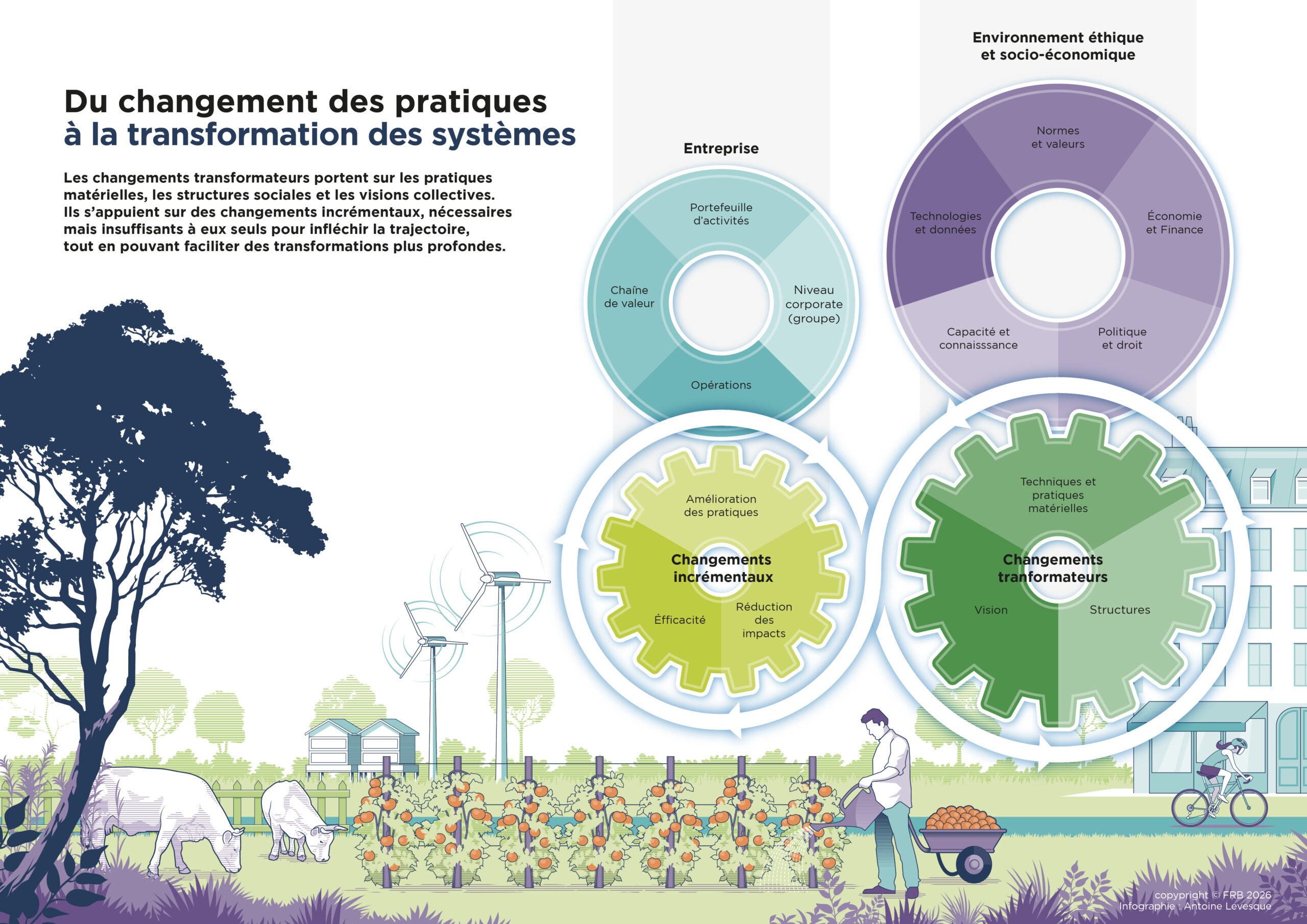 Du changement de pratiques à la transformation des systèmes