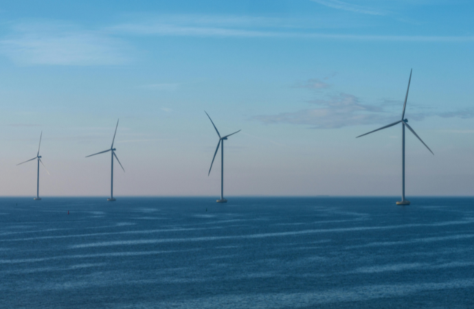 Restitution des résultats des projets de recherche du programme “Impacts des énergies renouvelables sur la biodiversité”