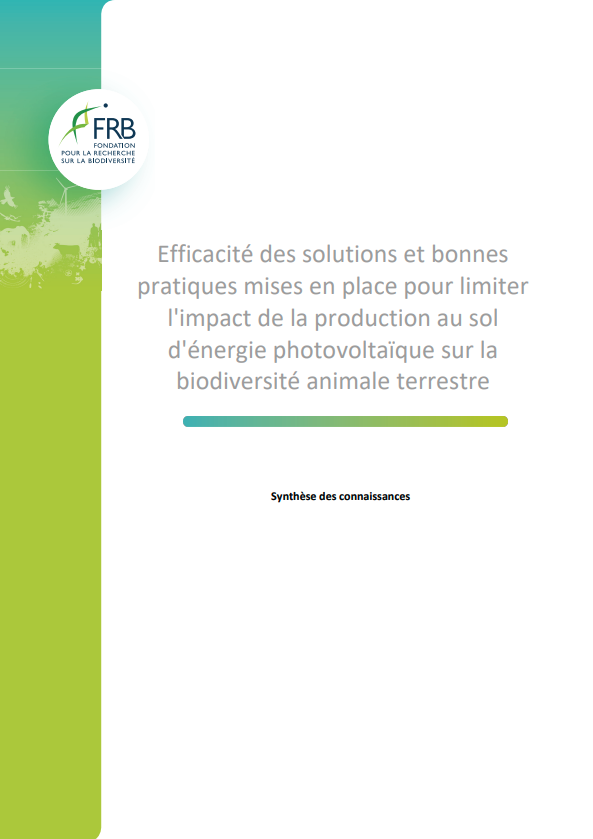 Efficacité des solutions et bonnes pratiques mises en place pour limiter l’impact de la production au sol d’énergie photovoltaïque sur la biodiversité animale terrestre. Synthèse de connaissances.