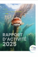 Rapport d’activité 2025