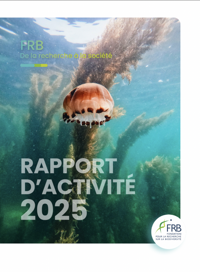 Rapports d’activité de la FRB