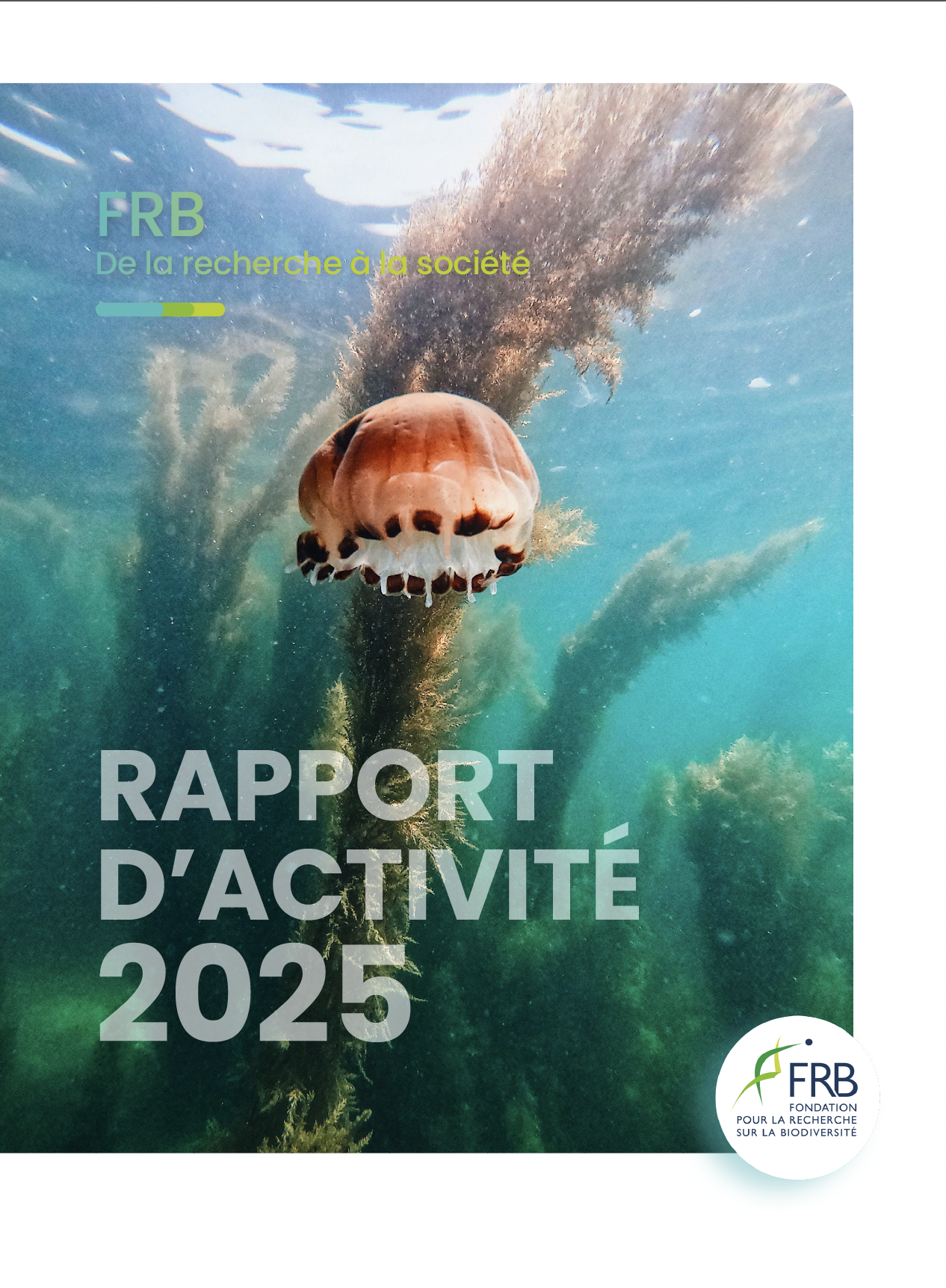 Rapport d’activité 2025