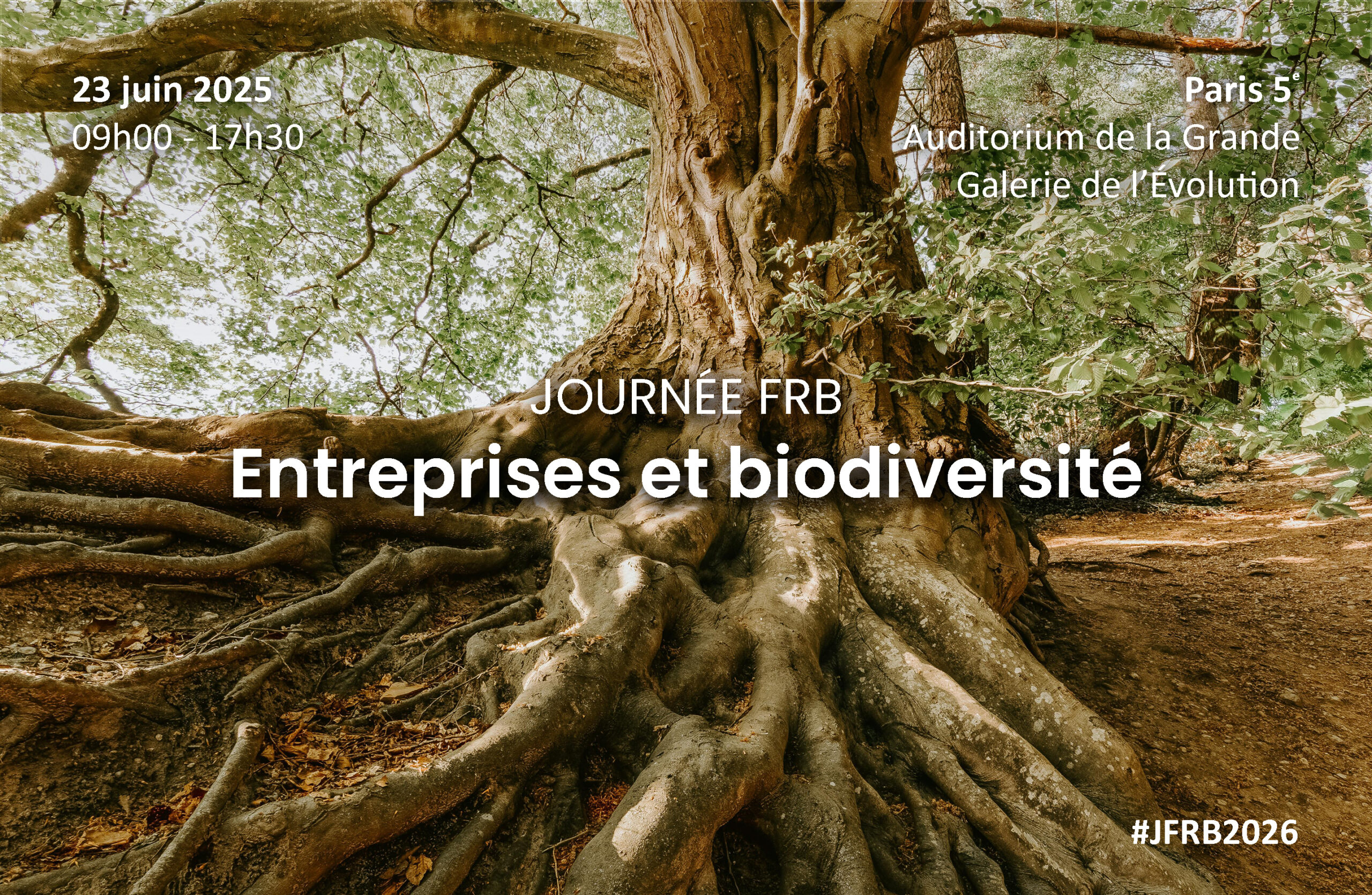 Journée FRB 2026 | Entreprises et biodiversité : La recherche comme cap, l’action comme responsabilité