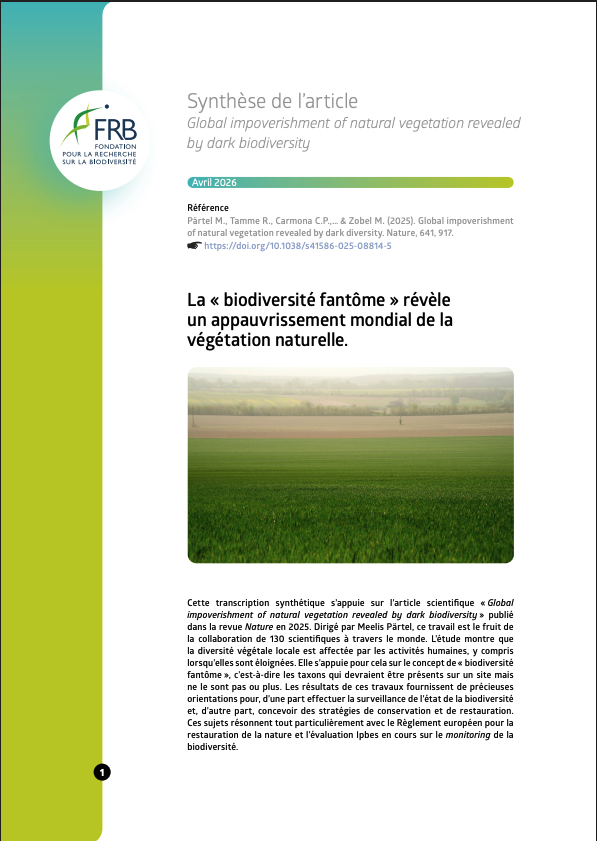 La « biodiversité fantôme » révèle un appauvrissement mondial de la végétation naturelle
