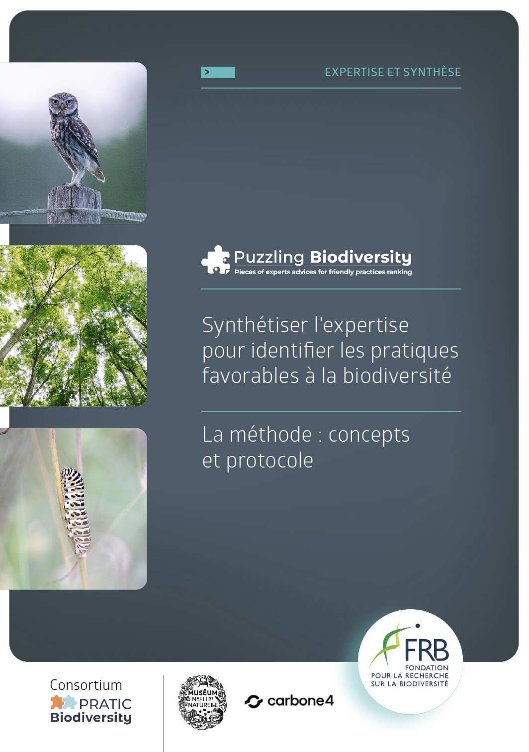 Découvrez les deux nouveaux rapports sur la méthode Puzzling Biodiversity