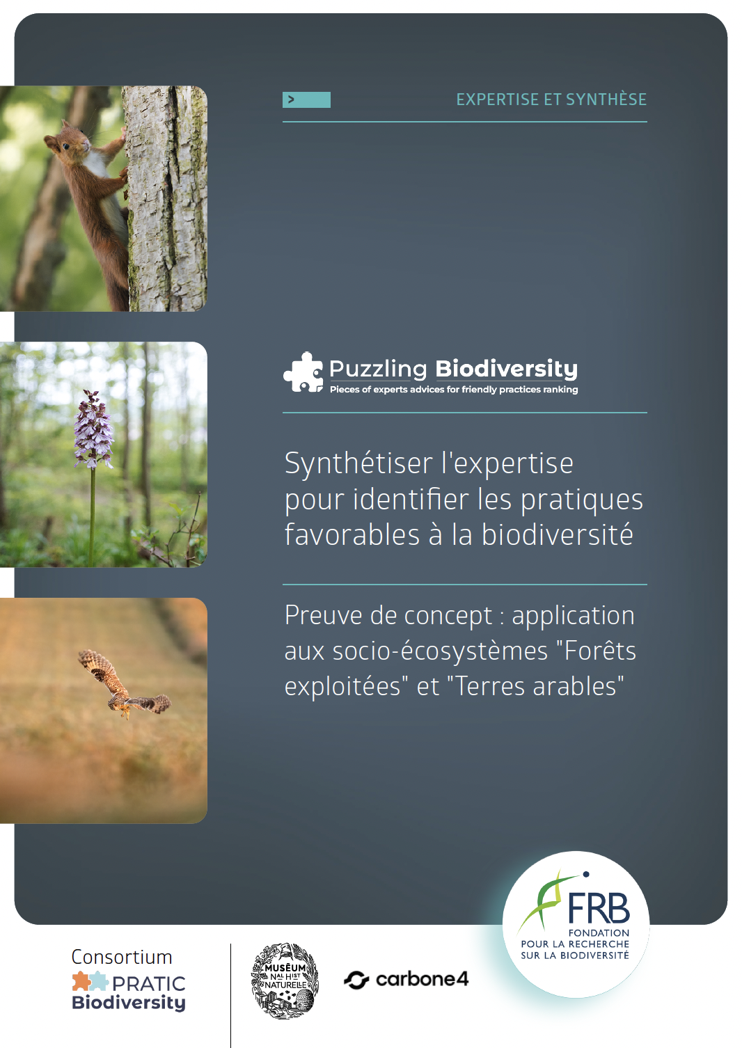 Puzzling Biodiversity : Synthétiser l’expertise pour identifier les pratiques favorables à la biodiversité