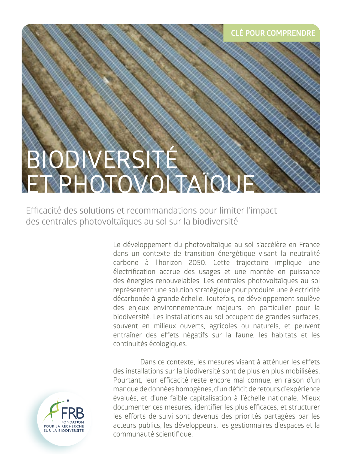 Efficacité des solutions et bonnes pratiques mises en place pour limiter l’impact de la production au sol d’énergie photovoltaïque sur la biodiversité animale terrestre. Clé pour comprendre