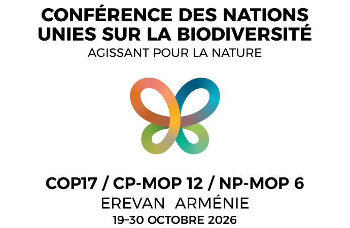 Cop 17 : l’heure du bilan à mi parcours du cadre mondial